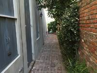 $1,200 / Month Home For Rent: 617 Dauphine Street #12 - Upper Management Real...