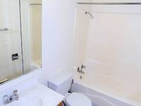 $810 / Month Apartment For Rent: 2523 7 Ave S 6 - Cambridge Property Management ...