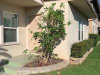 $3,600 / Month Apartment For Rent: 3575 S.SEPULVEDA BLVD #A - Miller & Desatni...