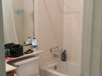 $1,800 / Month Home For Rent: 2300 Leon St. #302 - Campus & Central Prope...