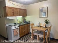 $995 / Month Apartment For Rent: 1013 S. Allen Street, Unit 502 - Continental Re...