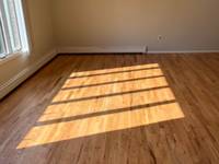 $1,800 / Month Apartment For Rent: Beds 1 Bath 1 - Www.turbotenant.com | ID: 11560157